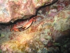 Underwater 22